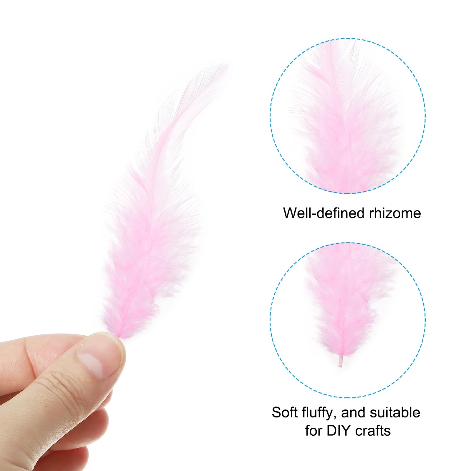PATIKIL 3-5 Inch Rooster Feathers - Image 3