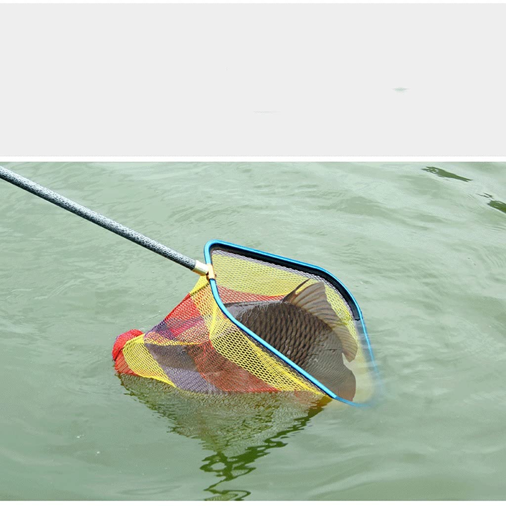 Rete da pesca Pesca Landing Net 40CM 45CM 50CM Telescopico Rete da Pesca per Carpa Trota Pesca Lega di Titanio Pieghevole Landing Nets Rete (Colore: Blu, Dimensioni: 45X45X38cm)