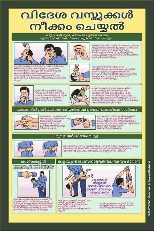 Malayalam First-Aid Awareness Educational Wall Poster – Illustrated Emergency Response Learning Art for Schools, Offices & Community Spaces (Eco Vinyl, 2x3 Feet)-image-42