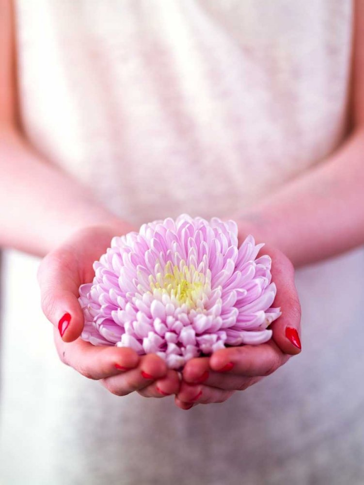 Image on ROLLED CANVAS Female hands holding a flower Frank Assaf - Floral vertical Art print Beauty Child Close-Up Cropped Female Flower Freshn Canvas fine art 23_X_17_in