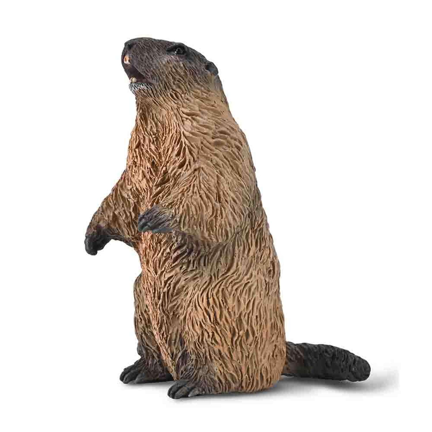 CollectA Marmot - Realistic & Hand Finished Animal Figure, Mini Wild Animal Models, Child’s Wildlife Figures, Nature Gifts For Toddlers & Kids, Age 3 Years Old +