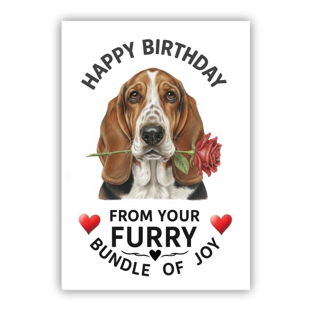 Birthday Card From the Dog – Multiple Breeds Available – Cute & Funny Pet Birthday Card – Dogs Lover Gift (• Basset Hound)