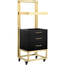 Salon Stations for Hair Stylist,Grooved Salon Cart with Wheels, Salon Trolley Cart with 4 Holders & 2 Drawers, Portable Organizer Station for Barbershop Beauty