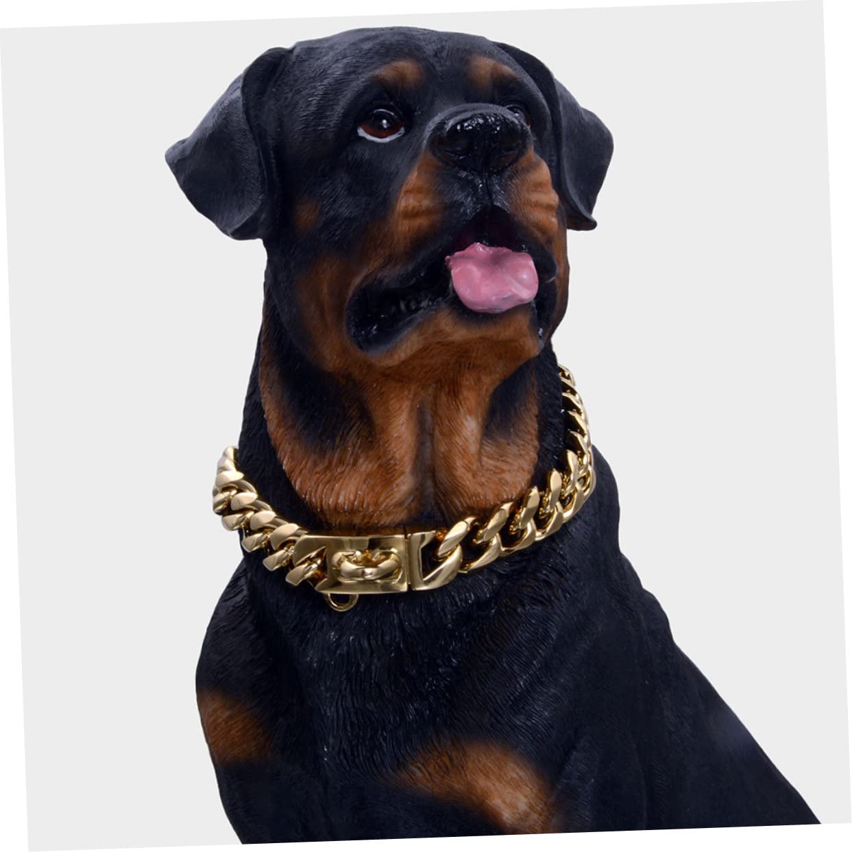 GALPADA Collier Chien Inoxydable Or Morsure Accessoire Délicat pour Animaux de Compagnie Collier Chiot Durable et Réutilisable
