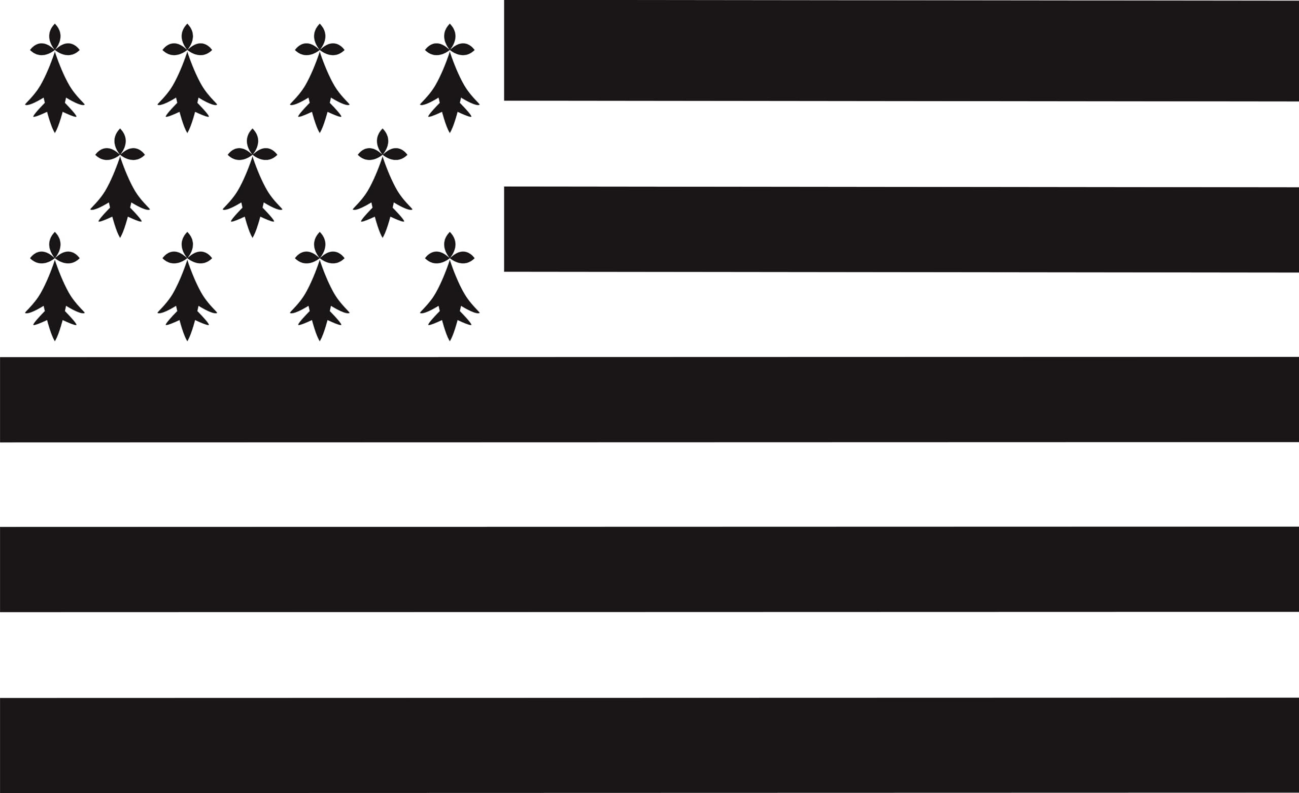 Drapeau Bretagne de qualité supérieure en tissu résistant aux UV 200x120