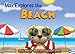 Max Explores the Beach