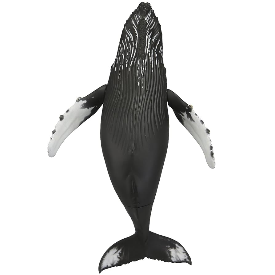 Amazon.co.jp: ソフビトイボックス013 クジラ ザトウクジラ ノン