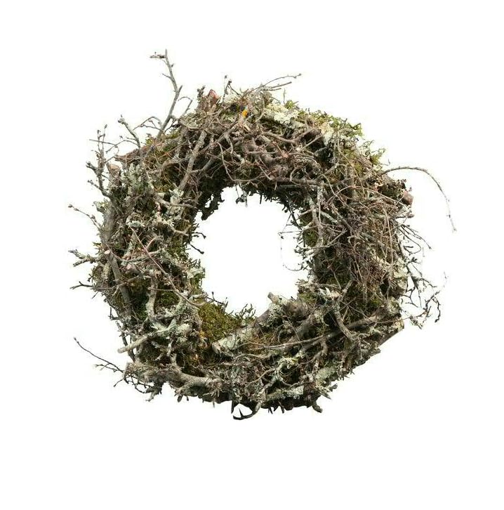 Kranz aus Moos & Bonsai-Zweigen - Handgefertigter Naturkranz für Tür...