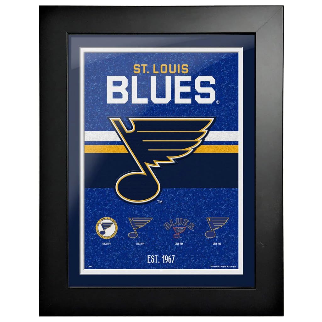 That's My Ticket St. Louis Blues Tradition Framed Artwork