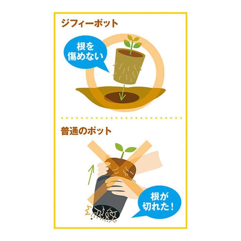 Amazon.co.jp: サカタのタネ【Seedfun.】そのまま植えられる