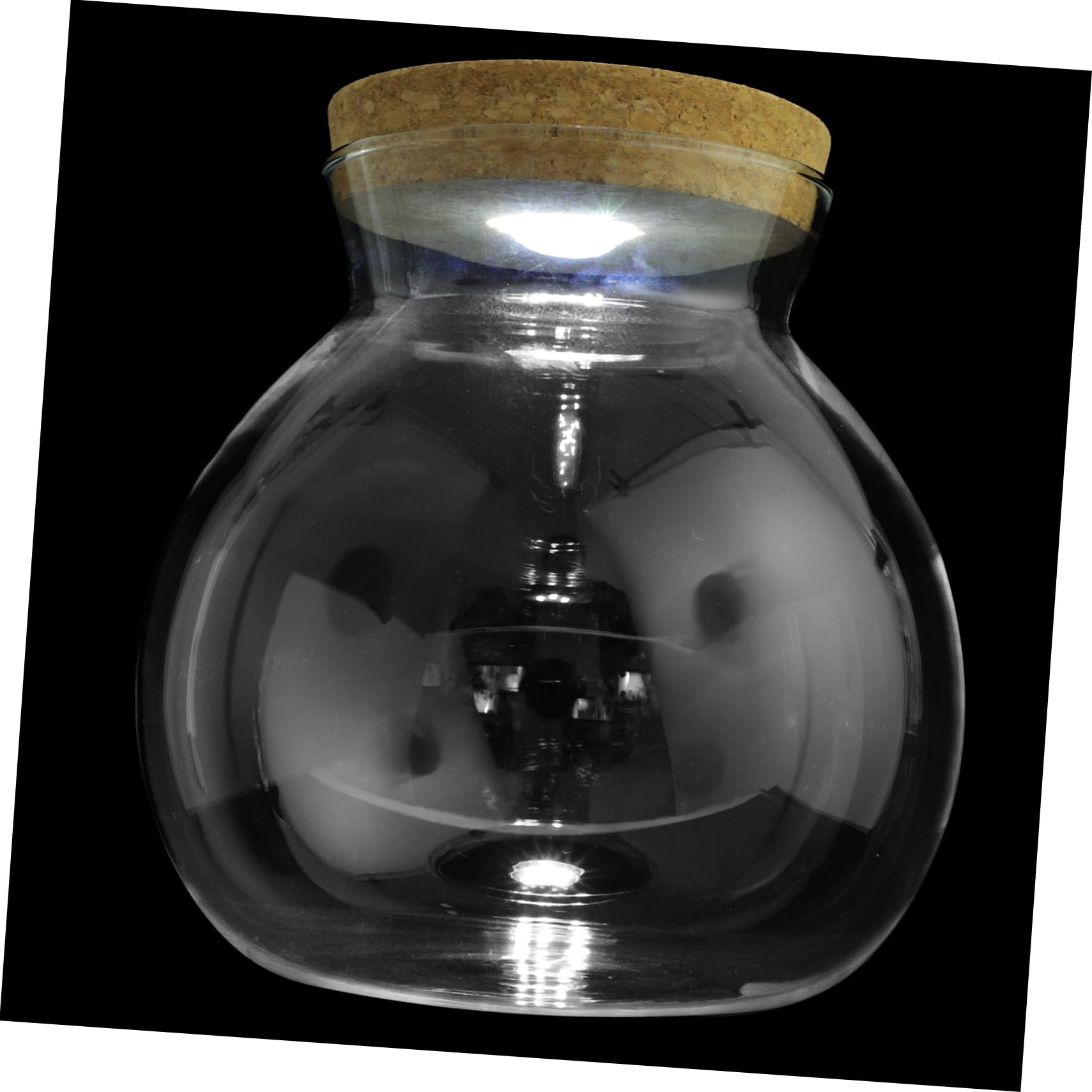 Mini Aquarium Bottle Glass Terrarium with LED Light, 1 Gallon