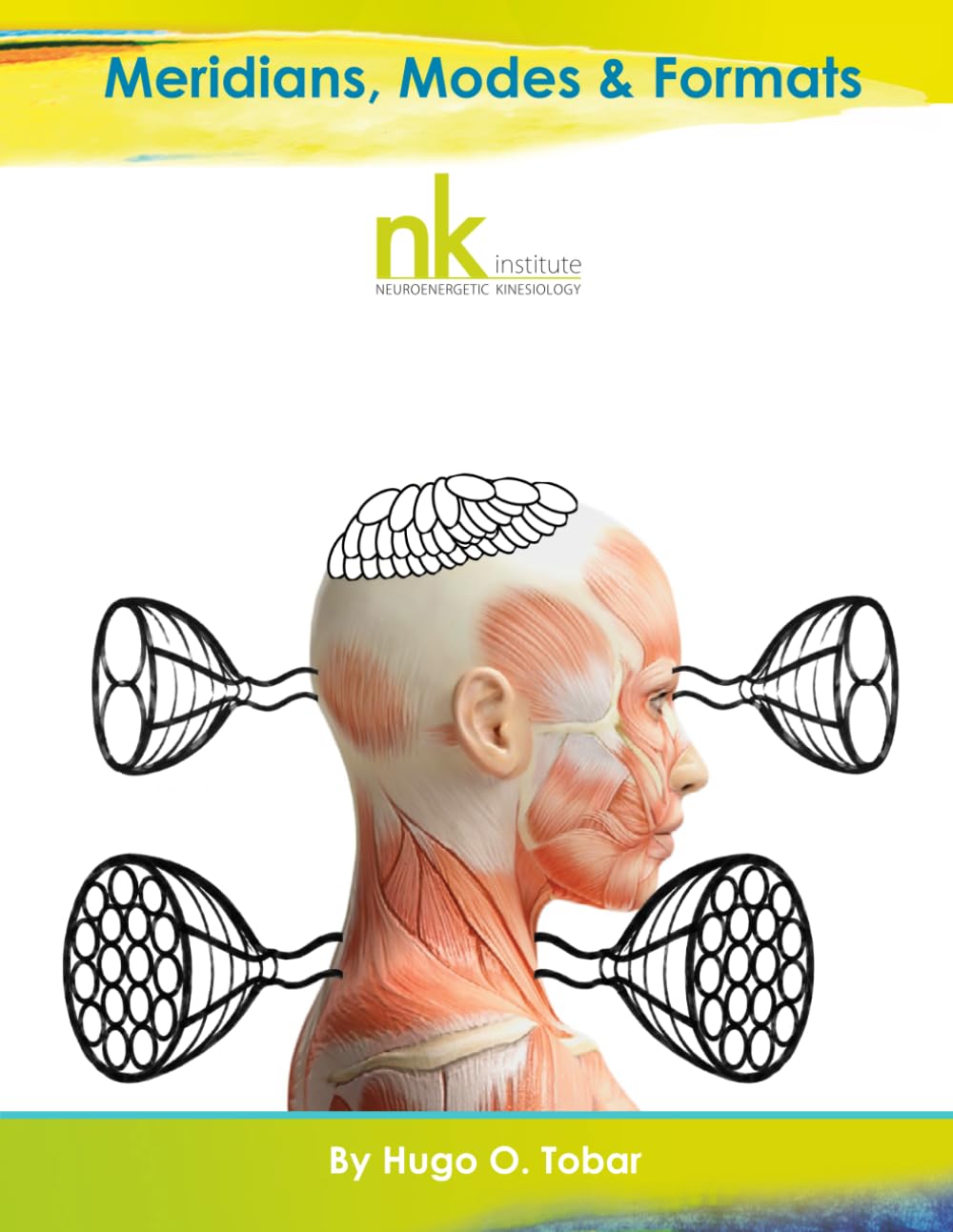 Meridians, Modes and Formats (Neuroenergetic Kinesiology Workshop Series)