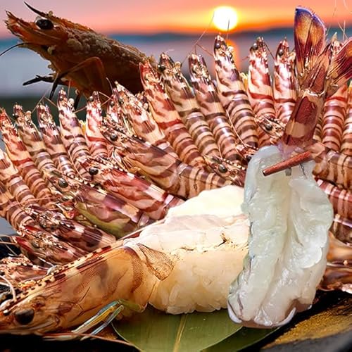 ԊCVyYⓀz Ԃ 1kgiS 45`49jF{VY ۘa ԃGr }Ⓚ {B꒼ hg VN N}Gr