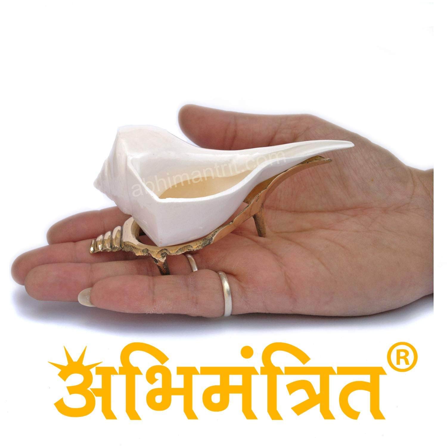 Abhimantrit Dakshinavarti Shankh Natural with Brass Stand Real Lakshmi Valampuri Sangu Conch Shell Shankh for Pooja Big Size - 5 Inch (Superfine Quality)