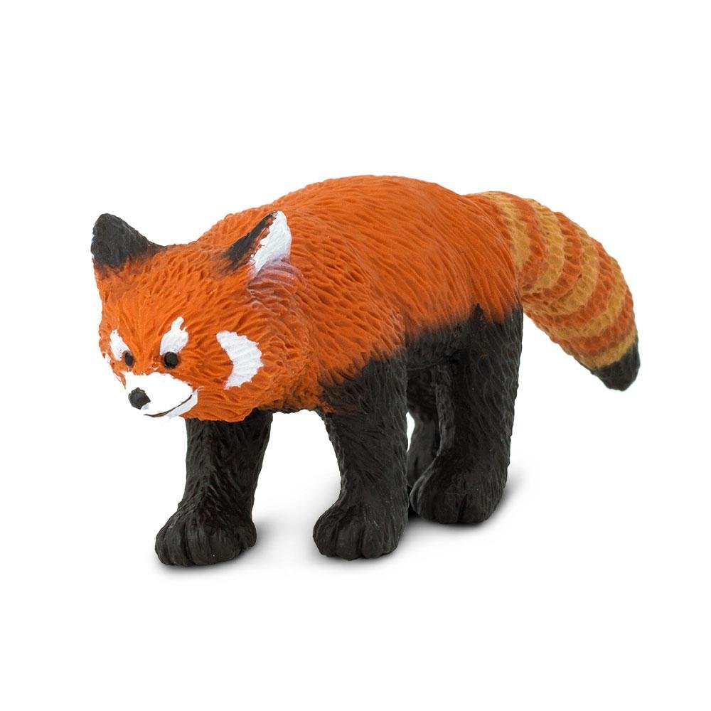 Amazon.com: Safari Ltd. Red Panda Figurine - Detailed 4.3