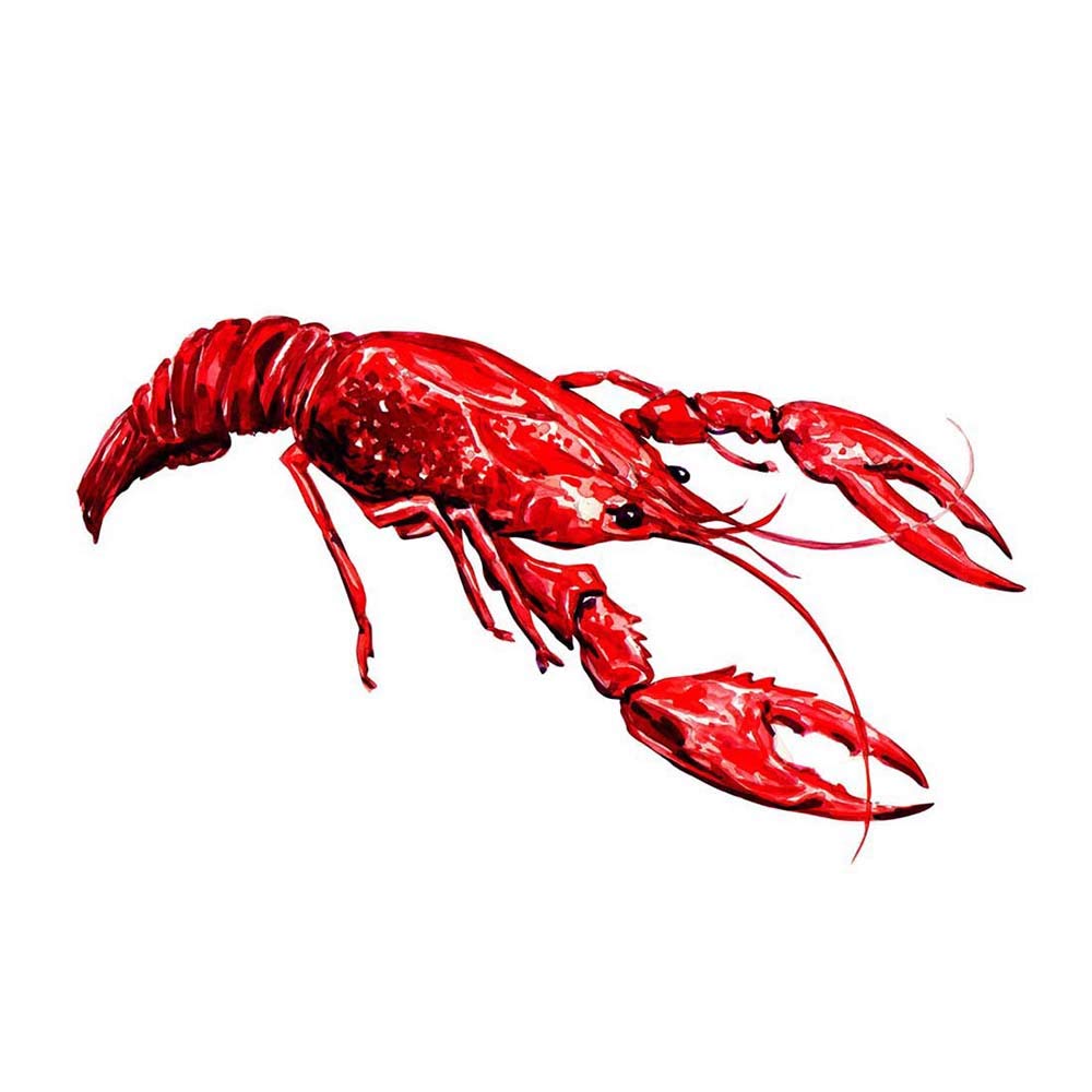 Wee Blue Coo Lobster Illustration Art Print Poster Wall Decor 12X16 Inch