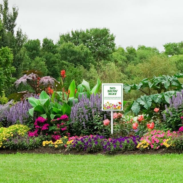 When is the⁤ best time to mow the lawn