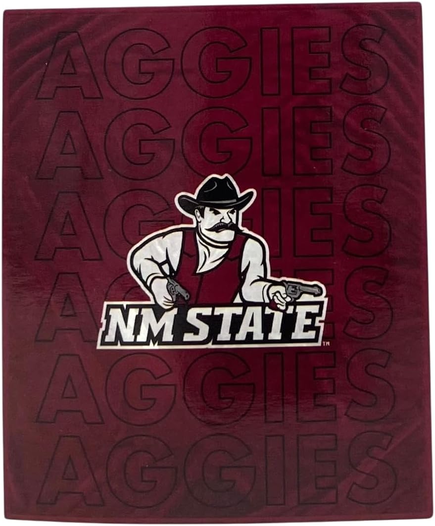 Pegasus Sports NCAA Echo Team Wordmark Plush Blanket, Team Color, 60x70 (Prairie View A&M University)