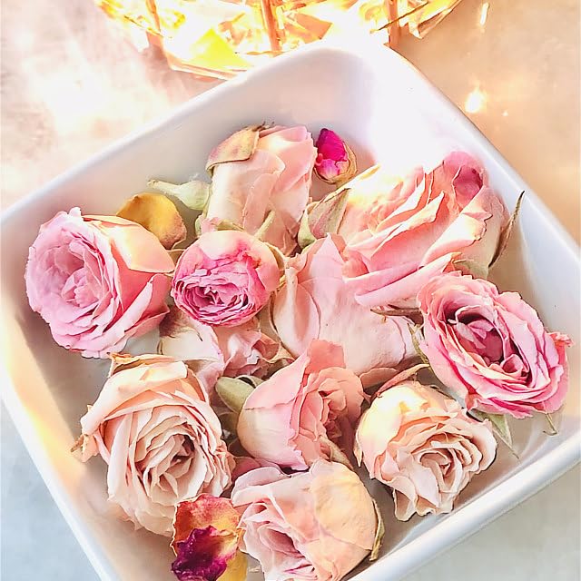 Pink Rosebuds Petite - 12 Real Roses - Freeze-Dried miniatura 2