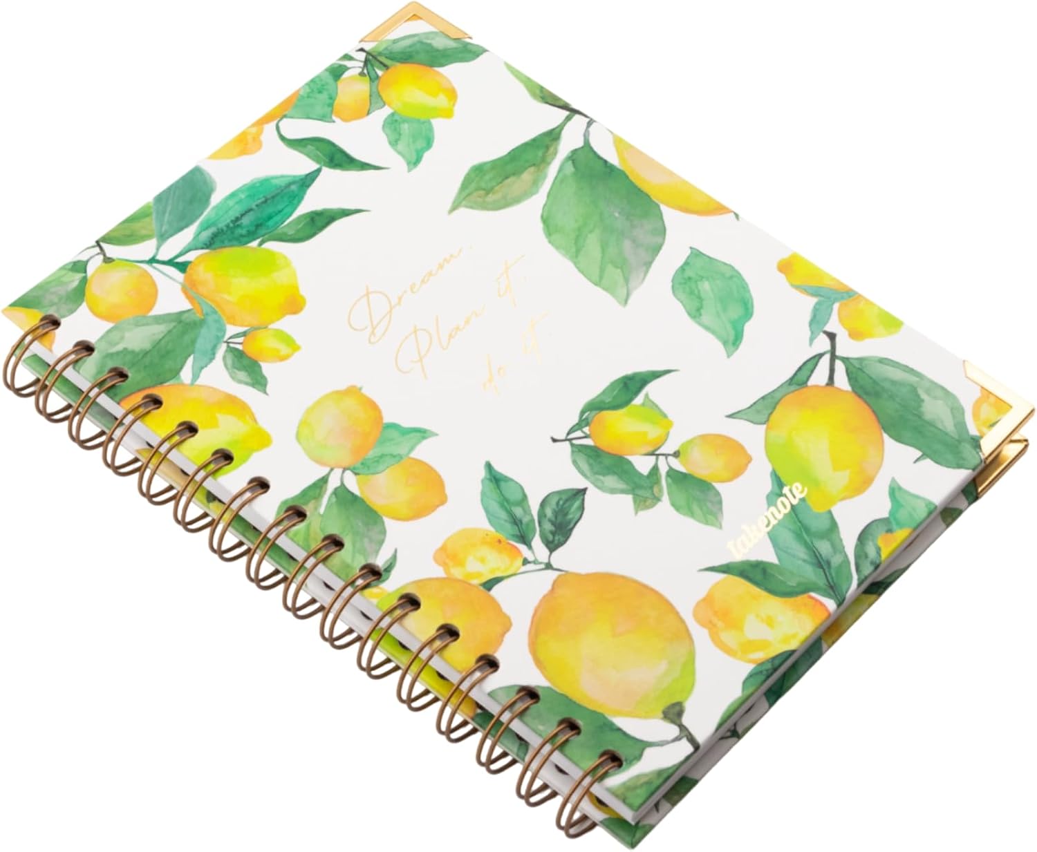 Dreambook Notebook A5 - Blank Interior, 192 White Pages, Size 15.5 x 21.5 cm, Hard Cover, Double Gold Spiral (Wire’o) - Takenote Agatha