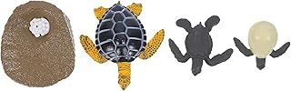 Toyvian 1 Conjunto De Ciclo De Crescimento De Animais Decoração Infantil Miniaturas Estatuetas De Decoração De Metal Estatuetas De Ciclo De Vida De Animais Estatuetas De Tartaruga