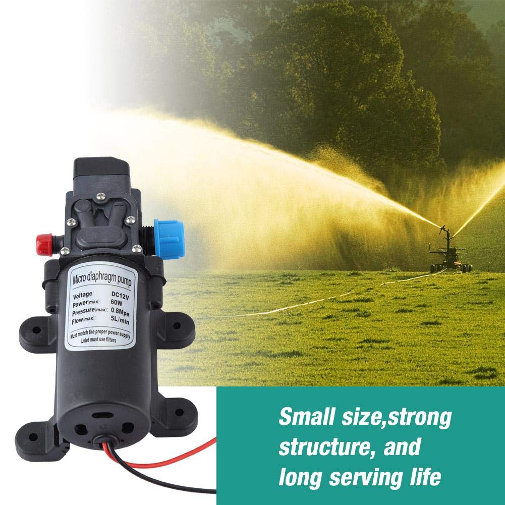 Pompe à Diaphragme, Pompe à Eau Haute Pression de Pompe d'Amorçage Automatique Électrique 12V 60W avec Pressostat pour Pulvérisation Agricole, Nébulisation Artificielle, etc