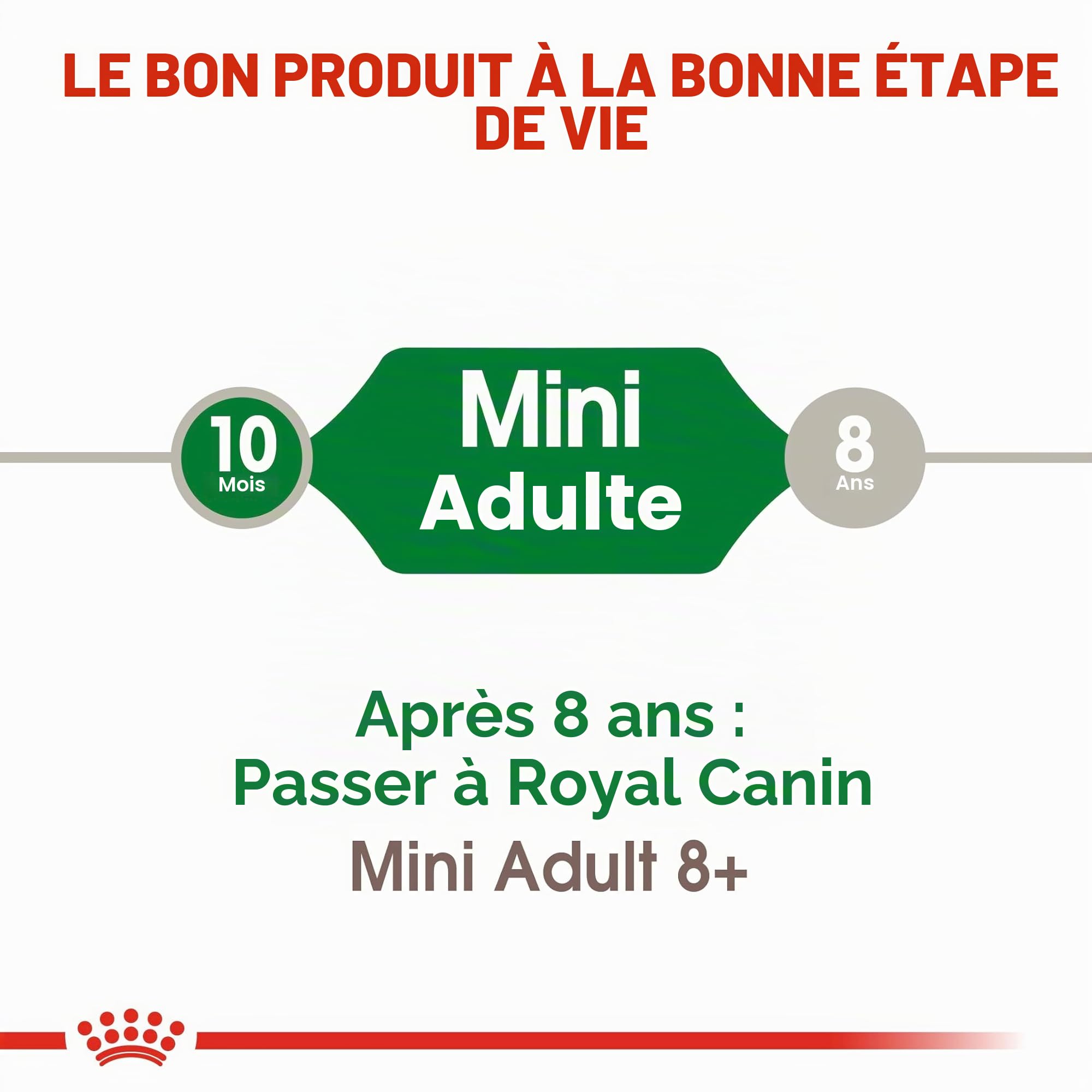 ROYAL CANIN - Croquettes Chien Royal Canin Mini Adulte : 8 kg