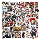 Attack on Titan Vinyl Decals, Clear 50PCS Stickers No-Duplicate Waterproof Vinyl Stickers for...