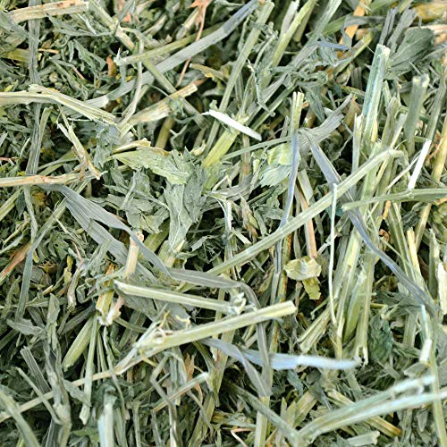 Oxbow Animal Health Alfalfa Hay, For Rabbits, Guinea Pigs, And Small Pets, Grown In The Usa, Hand-Selected And Hand-Sorted, 15 Ounce #TOP5