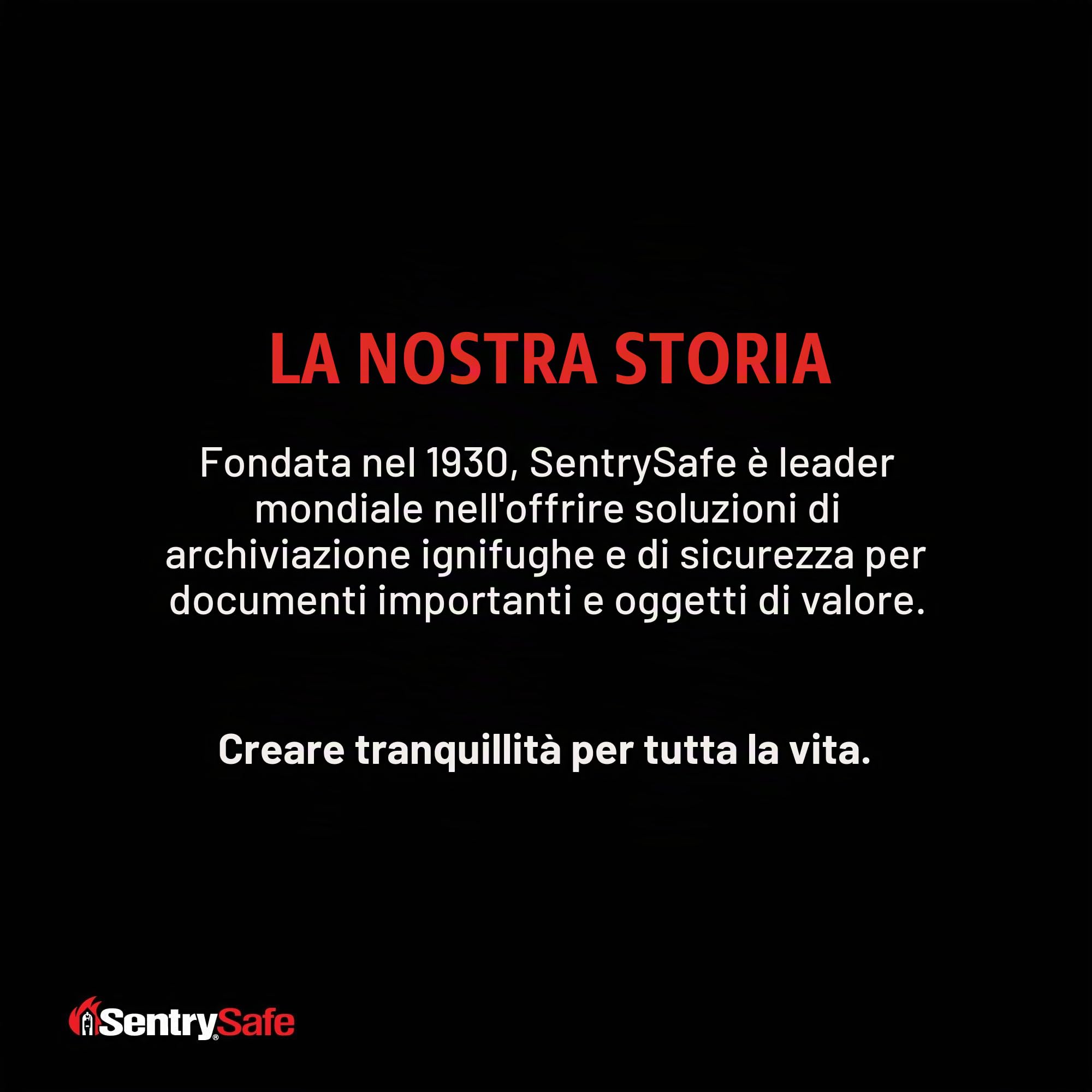 SentrySafe CHW30220 Cassaforte ignifuga, Grigio e Nero, 0.36 Cubic Feet