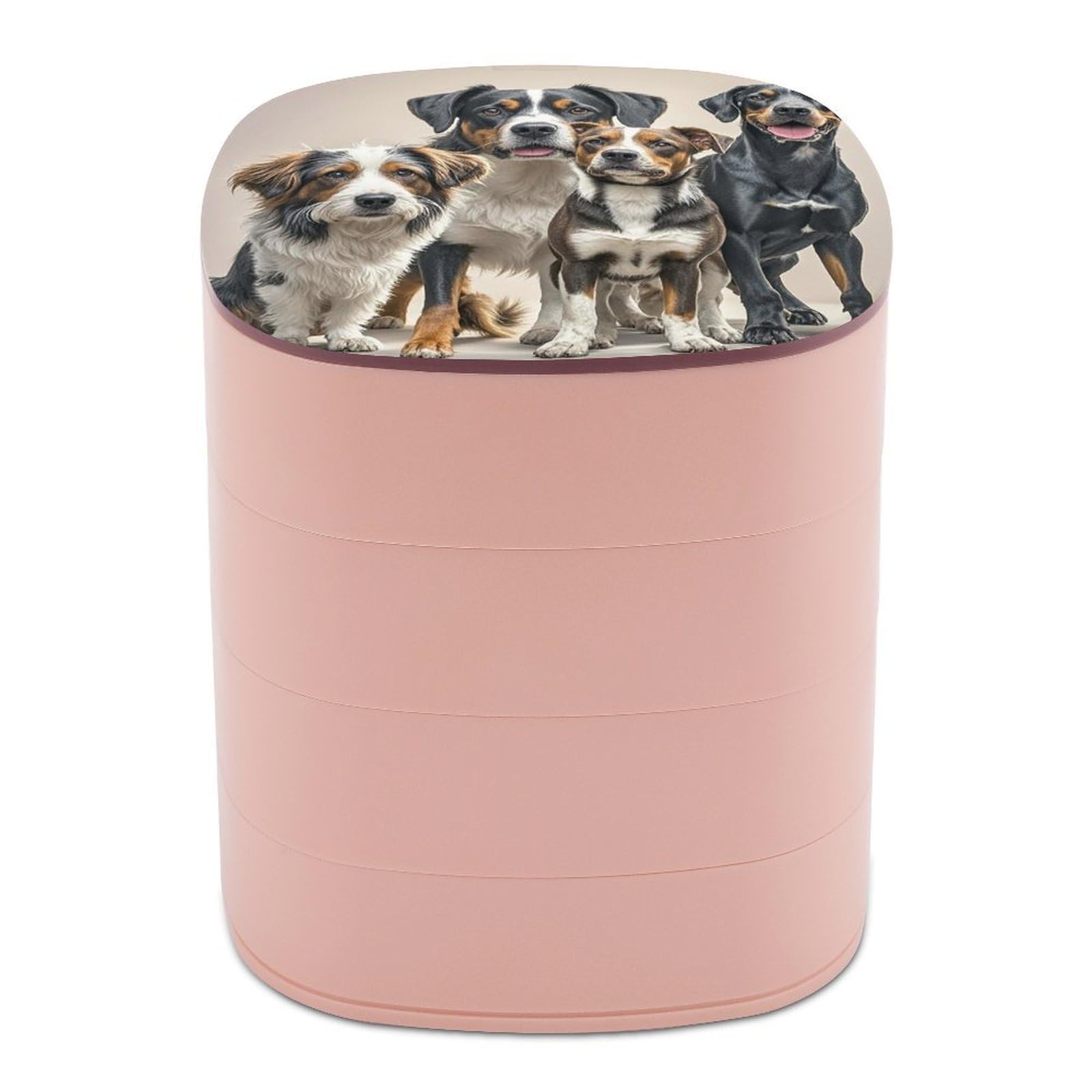 LZQPOEAS Dogs Jewelry Box with Mirror 4-Layer Rotating Travel Jewelry Case Small Jewelry Organizer Portable Jewelry Storage Box Rings Stud Necklaces Earring Holder for Women