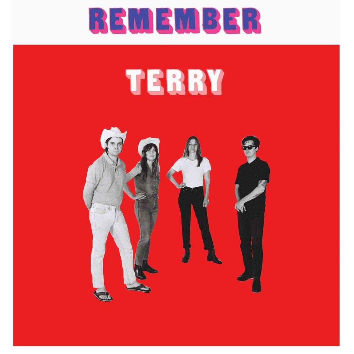 Remember Terry [VINYL]