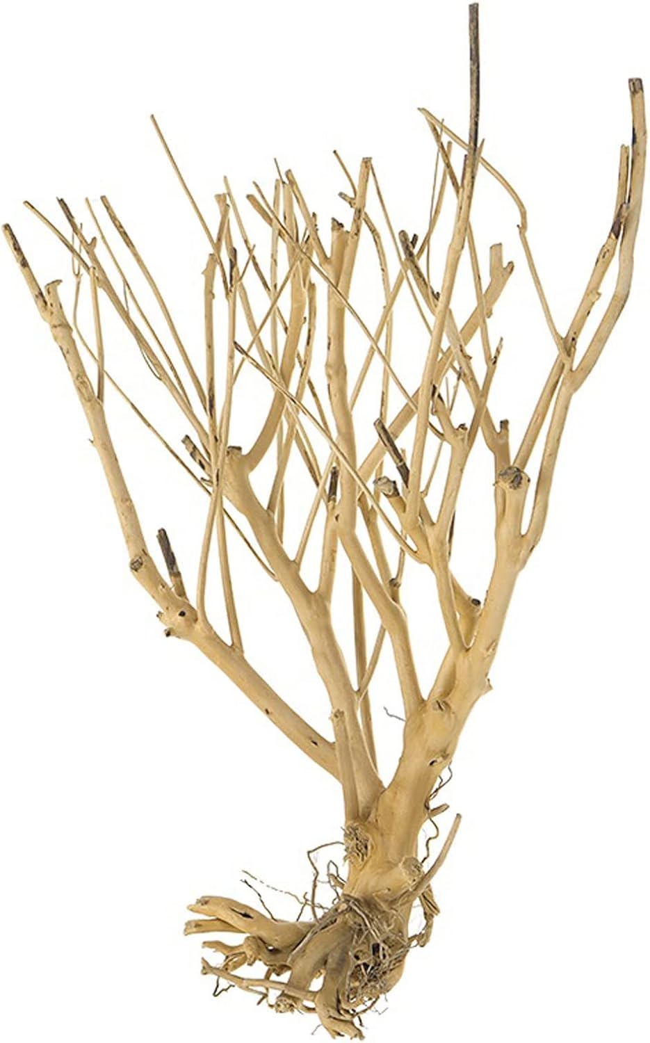 FORINC Aquarium Moss Tree Driftwood Bonsai Fish Tank