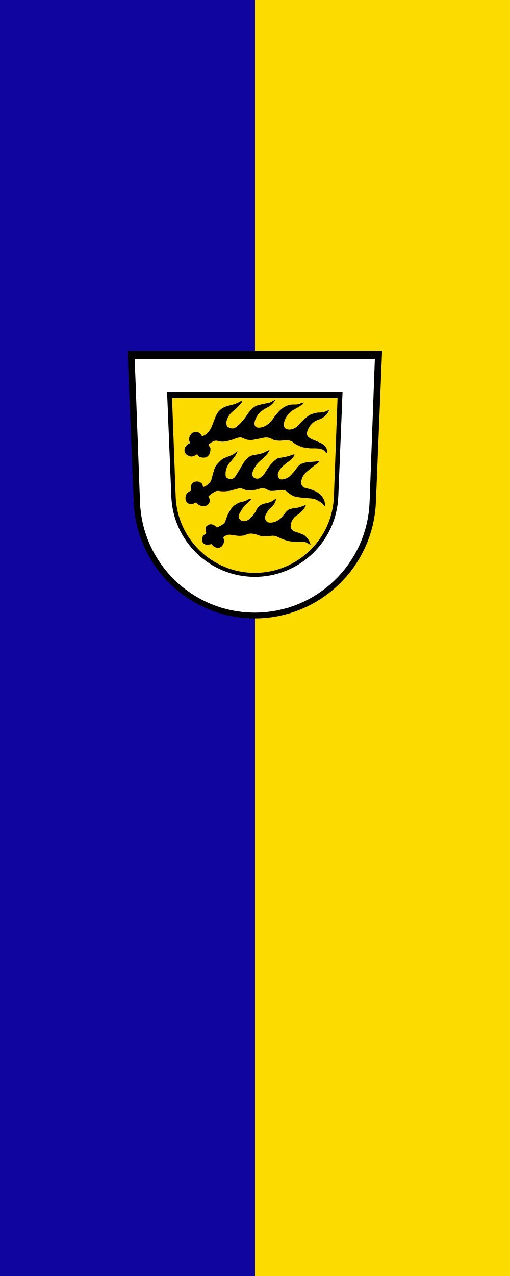 Drapeau Tuttlingen portrait 300x120cm pour remplacer un pavillon usé