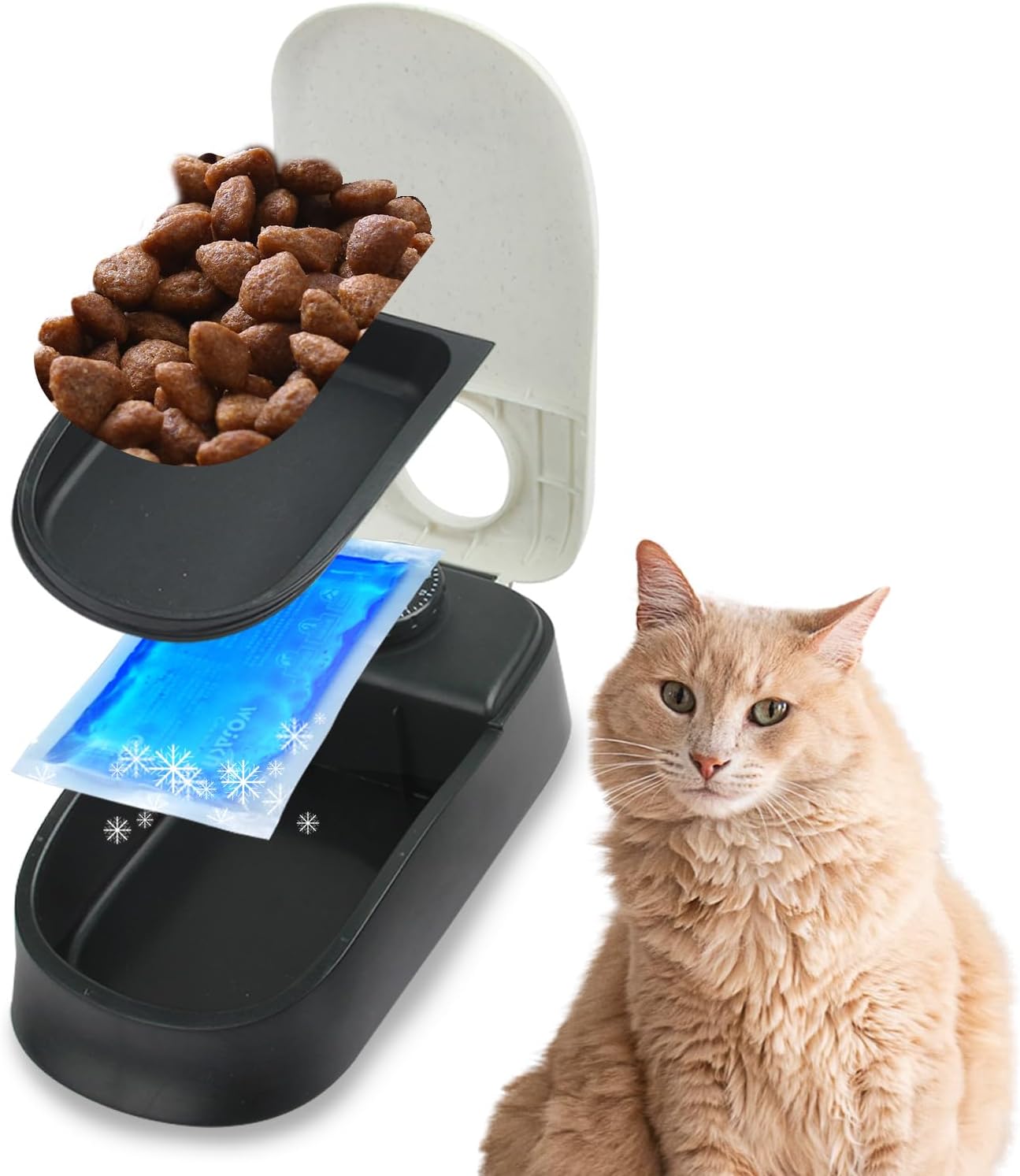 Pawise Automatic Cat & Dog Feeder with Ice Pack - 1-Meal Wet & Dry Food Dispenser, 48-Hour Timer, Dishwasher Safe, Perfect for Pets