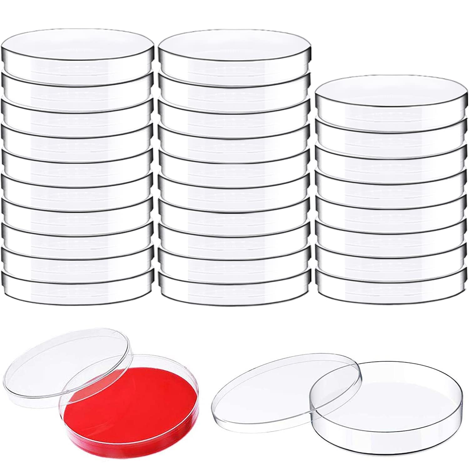 30 unidades de plástico Petri Dishes with Lids,90 x 15 mm Bioresearch Estériles Petri Dish,Culture Dishes for School Science Projects,Seeding,Storage,Biological Themed Party