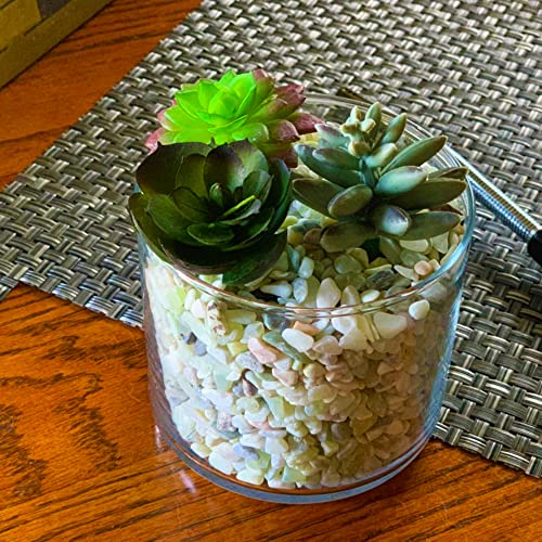 Image of 18lb Jade Bean Pebbles,1 /4 Inch Cactus Bonsai DIY Rocks, Natural Succulent Rock and River Rocks Decorative for Aquariums, Vases, Terrarium, Outdoor Gardening, Top Dressing for Potted Plants