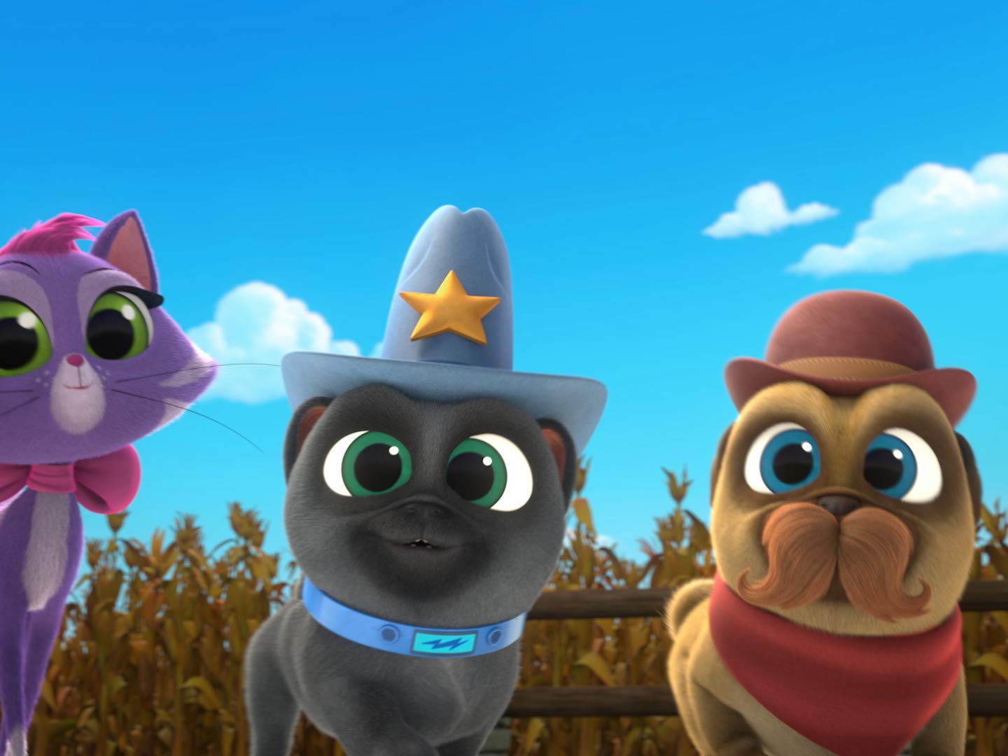 Watch Puppy Dog Pals Volume 5 | Prime Video