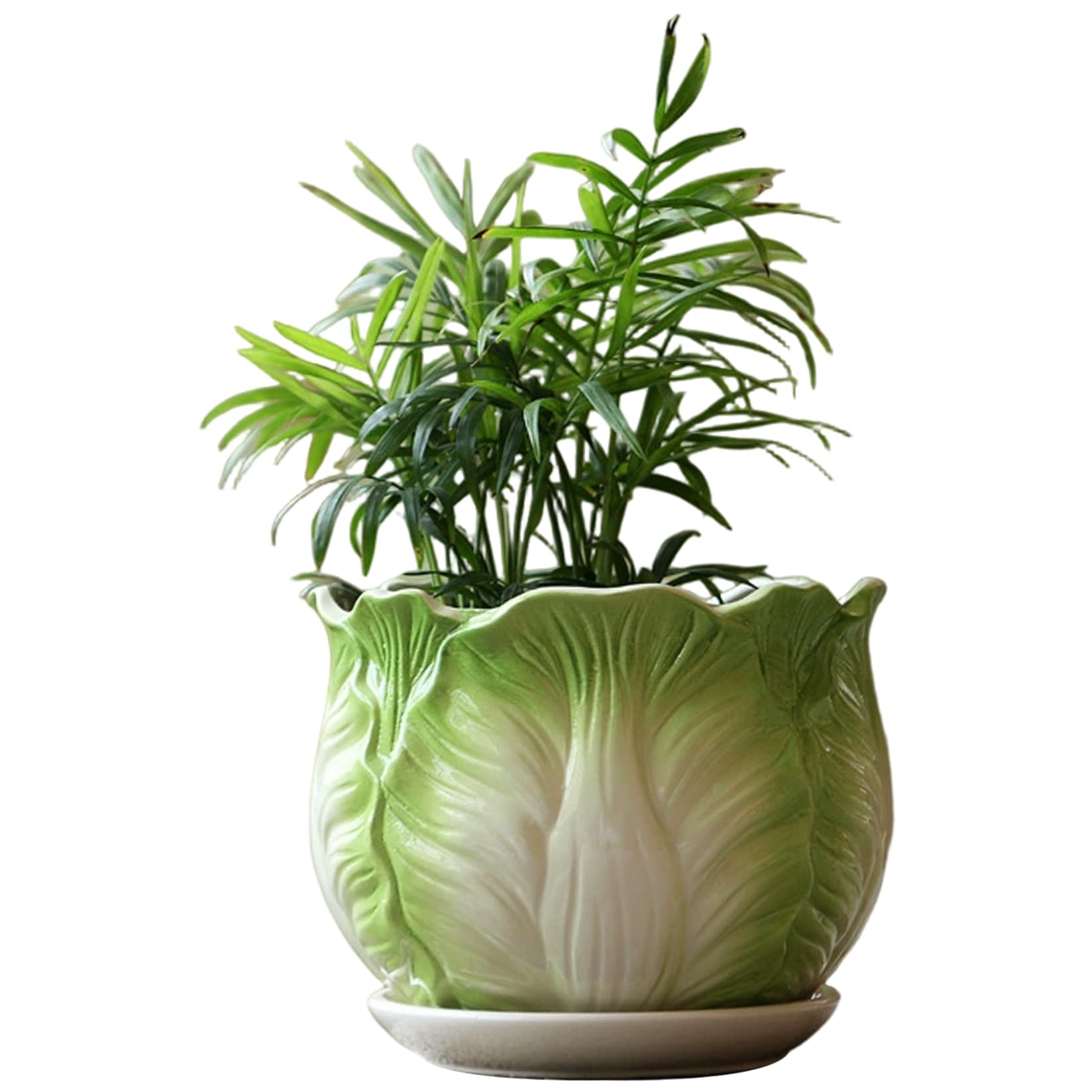 Latemeia Ceramic Planter with Saucer, Jade-Inspired Green Ceramic Flower Pots for Indoor Plants, 5 Inch Medium Bonsai Pots with Drainage Hole, Secure Foam Packaging, Planter, Plant