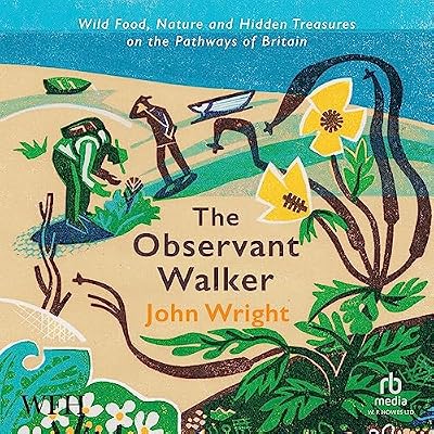 The Observant Walker