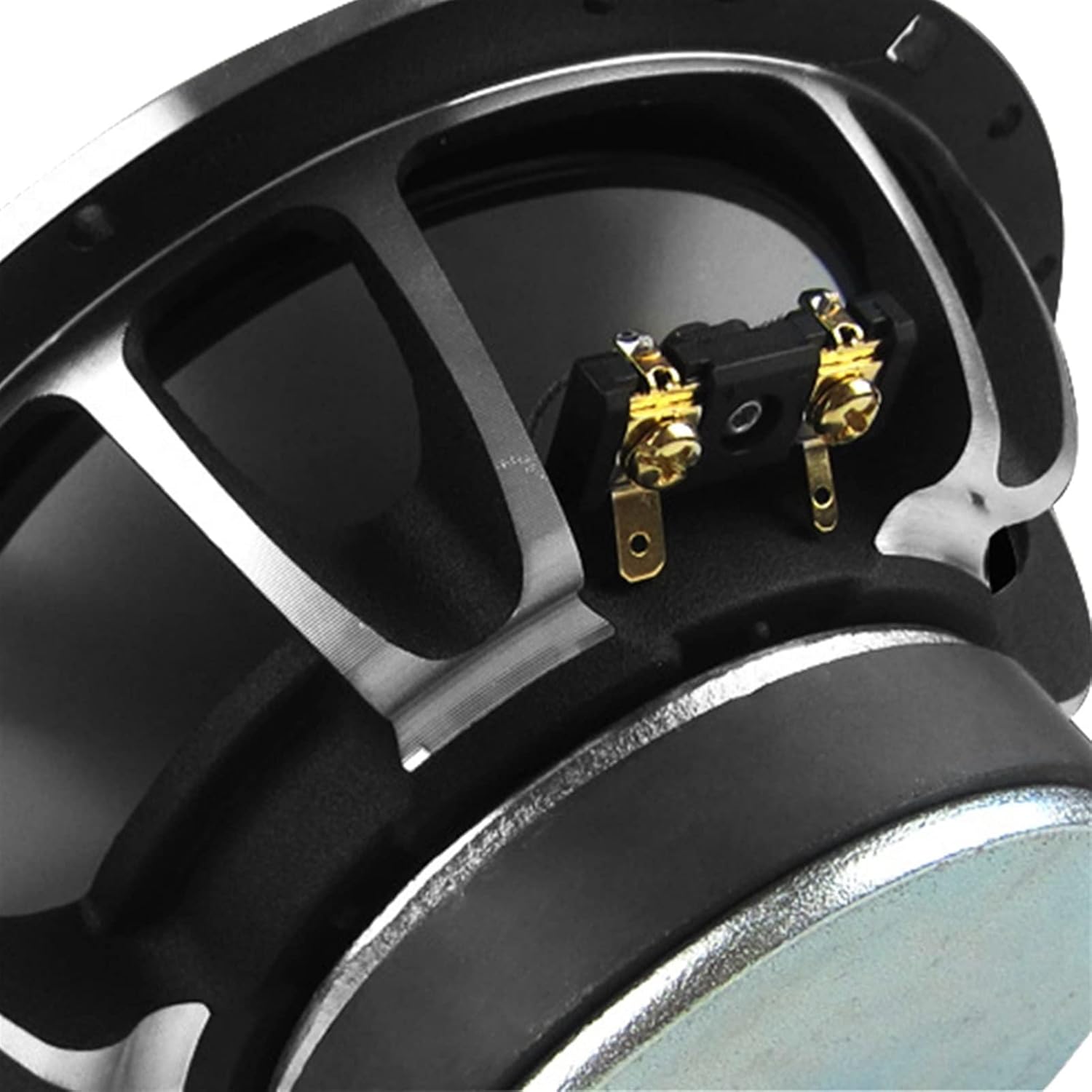 激レア)プテロカクタス フランス種子実生 19種類セット 激レア)プテロ