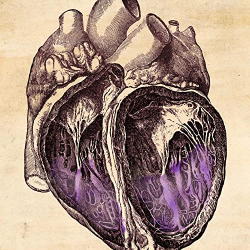 All Things Medicine cover art