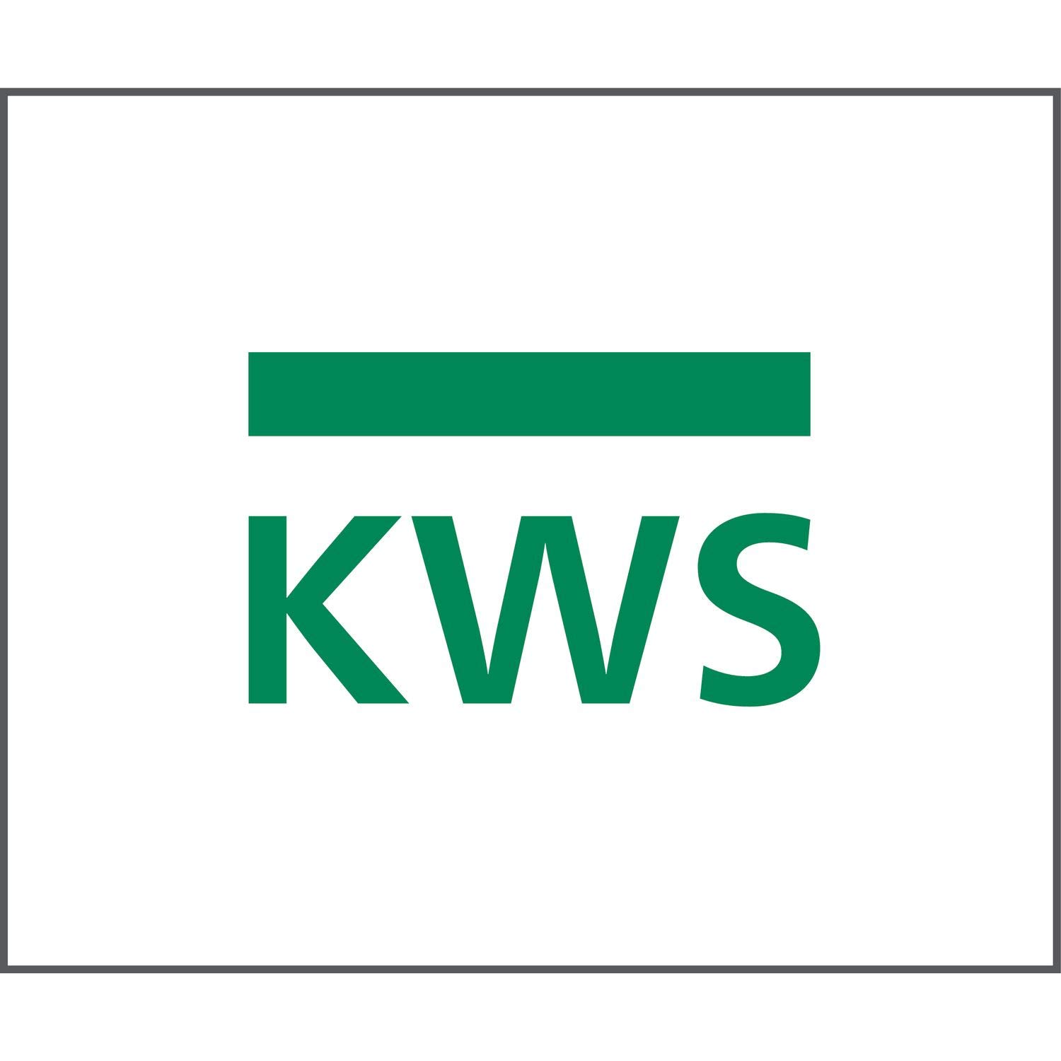 KWS 106002 - Palanca de bloqueo plegable de plata con goma negra, aluminio lacado