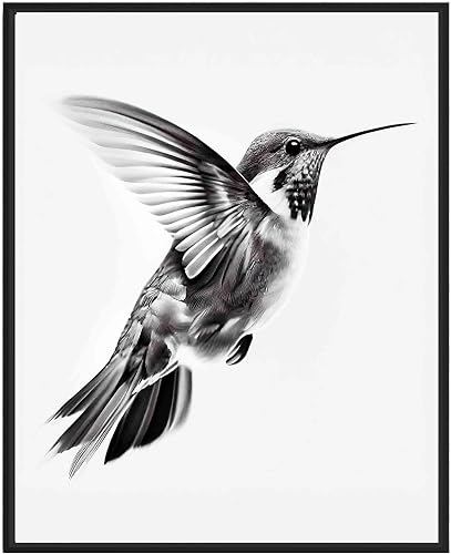 Hummingbird Art Prints Posters, Black and White Animal Photography Wall Art, Wil