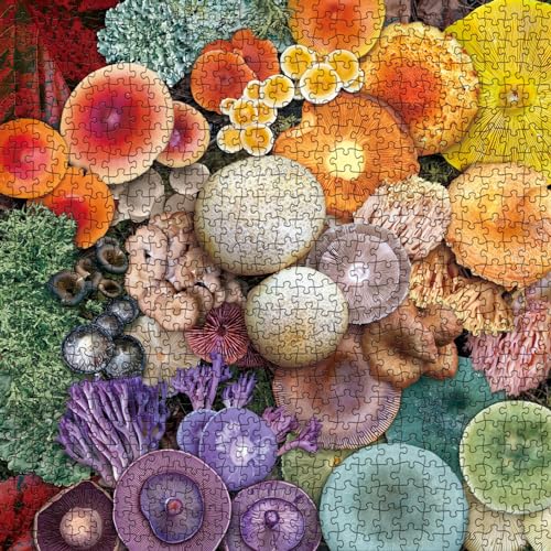 Mushroom Puzzle 1000 Piece Puzzle for Adults, Magic Mushroom Jigsaw Puzzles, Colorful Mushroom Toadstool Nature Wildlife Rainbow Fungi Puzzles