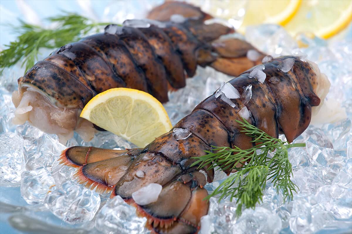 Lobster Tails, Wild Caught, 4 oz