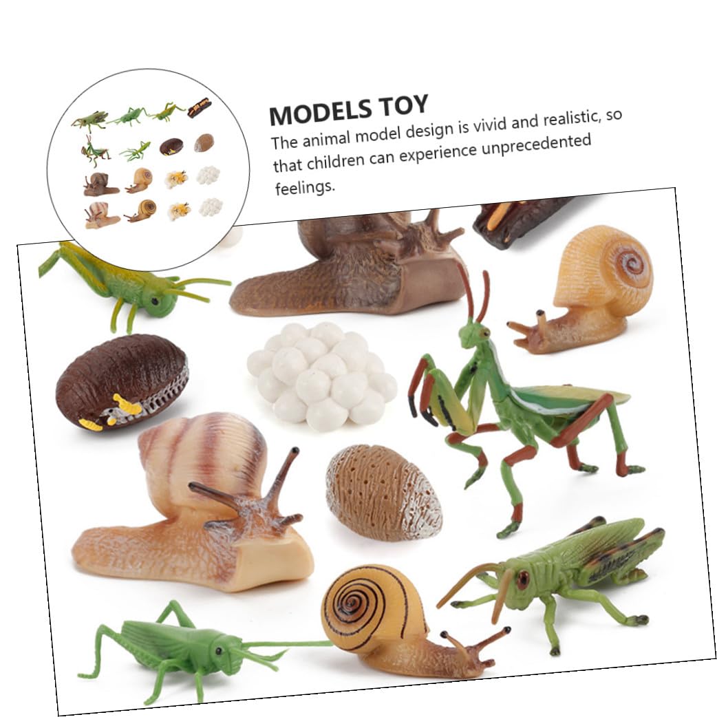 Juego Educativo de Modelos de Juguete de Crecimiento Animal 16 Piezas de Abs para Niños, Simula el Ciclo de Vida de Animales Aula Color Aleatorio