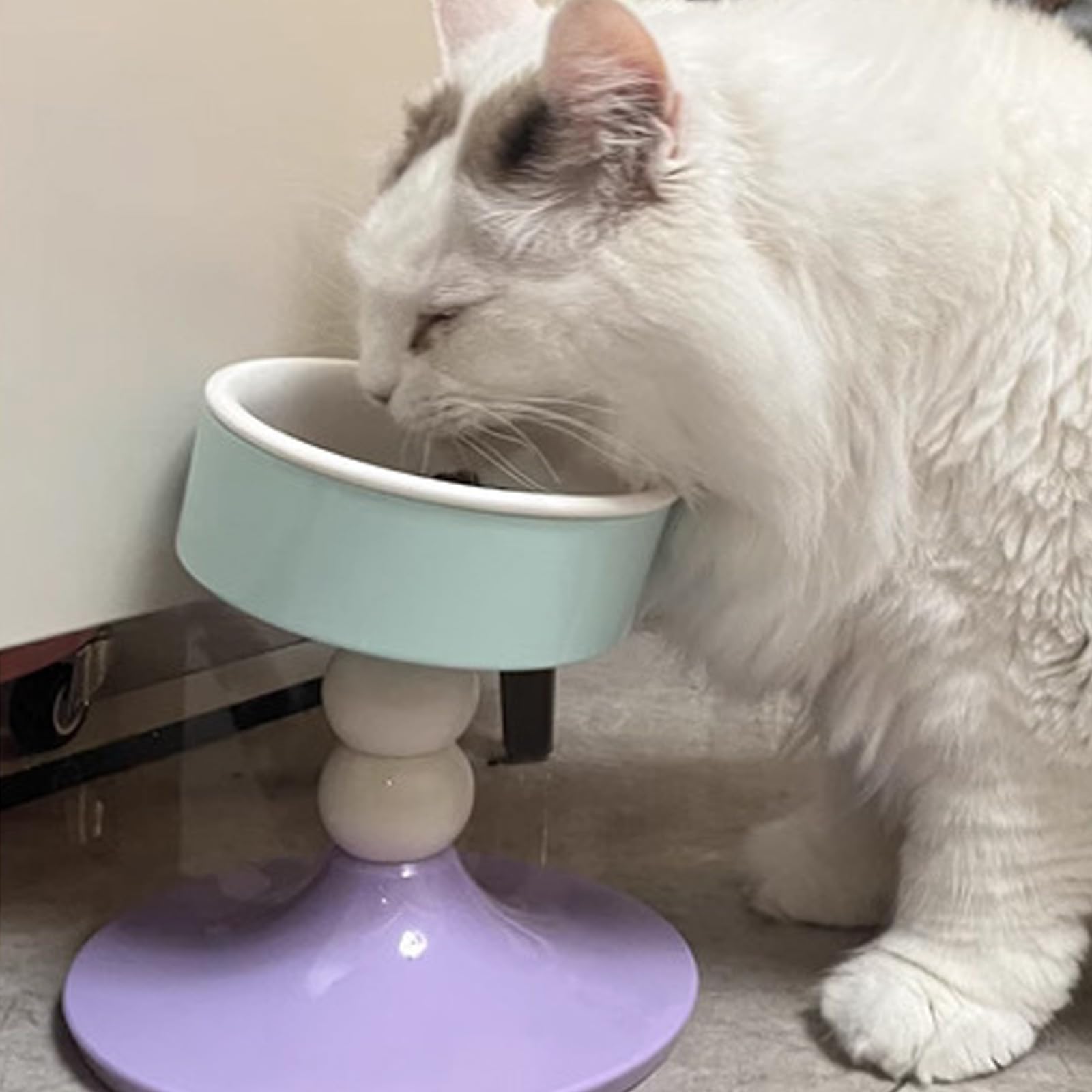 Stazione alimentazione per gatti antivomito Ciotola inclinata con altezza regolazione Ciotola per acqua antiscivolo per alimenti per cani Ciotole per cani rialzate rialzate