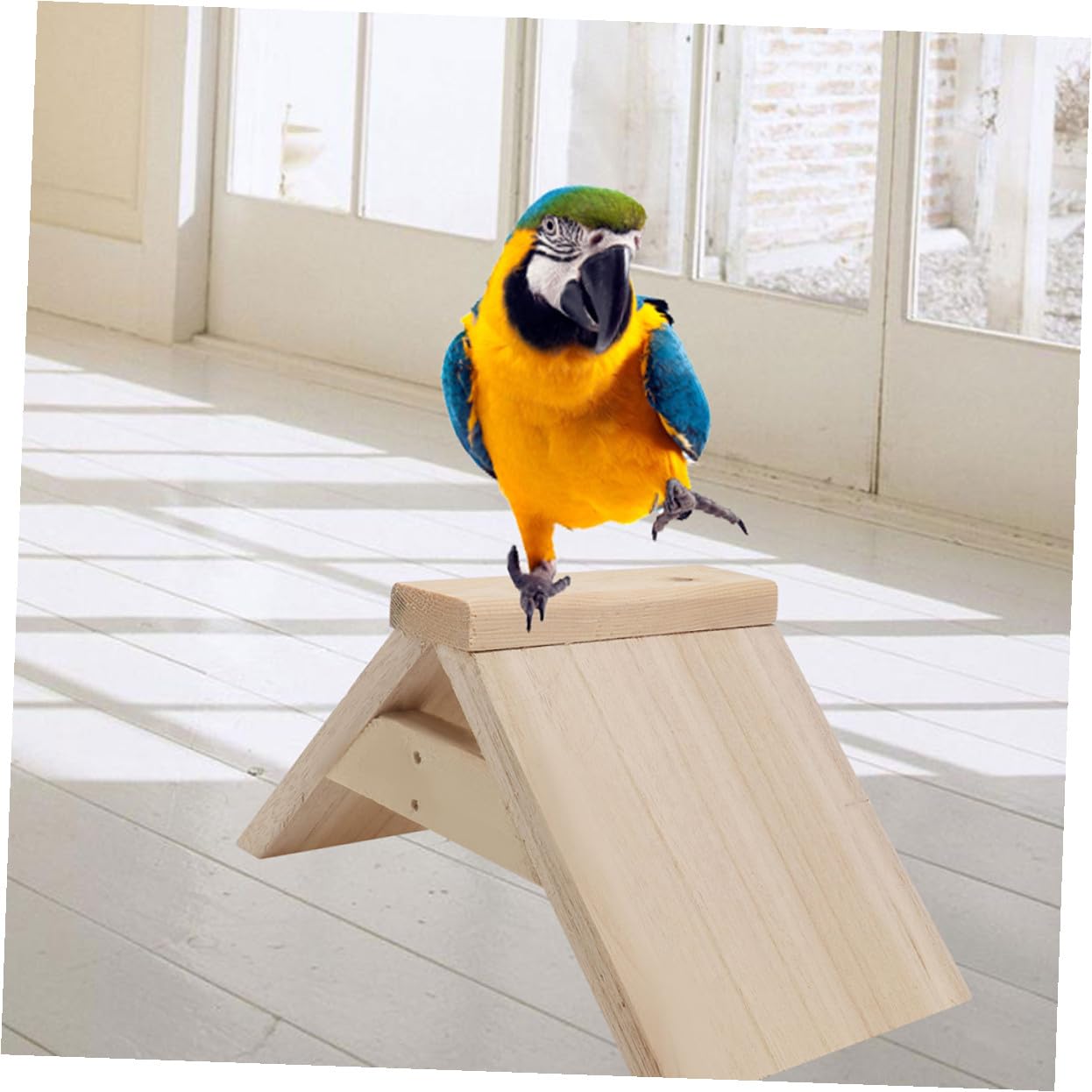 Perchas de Madera para Aves y Loros, Soporte de Descanso 5 Piezas | Color Caqui, Uso Doméstico y Zona de Juego, Accesorio para Aves de Compañía