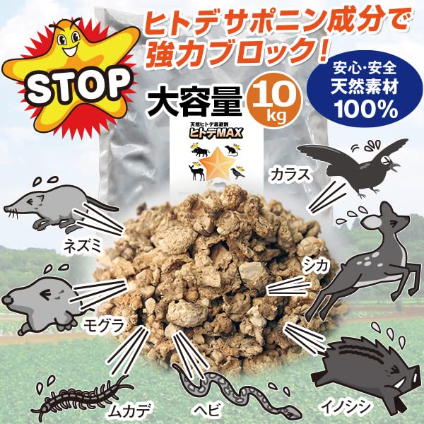 天然 乾燥ヒトデセット Amazon.co.jp: 【ラジオショッピング紹介商品】天然ヒトデ忌避剤
